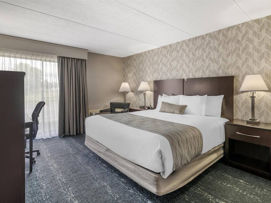 Standard Room, 1 King Bed, Accessible, Refrigerator & Microwave