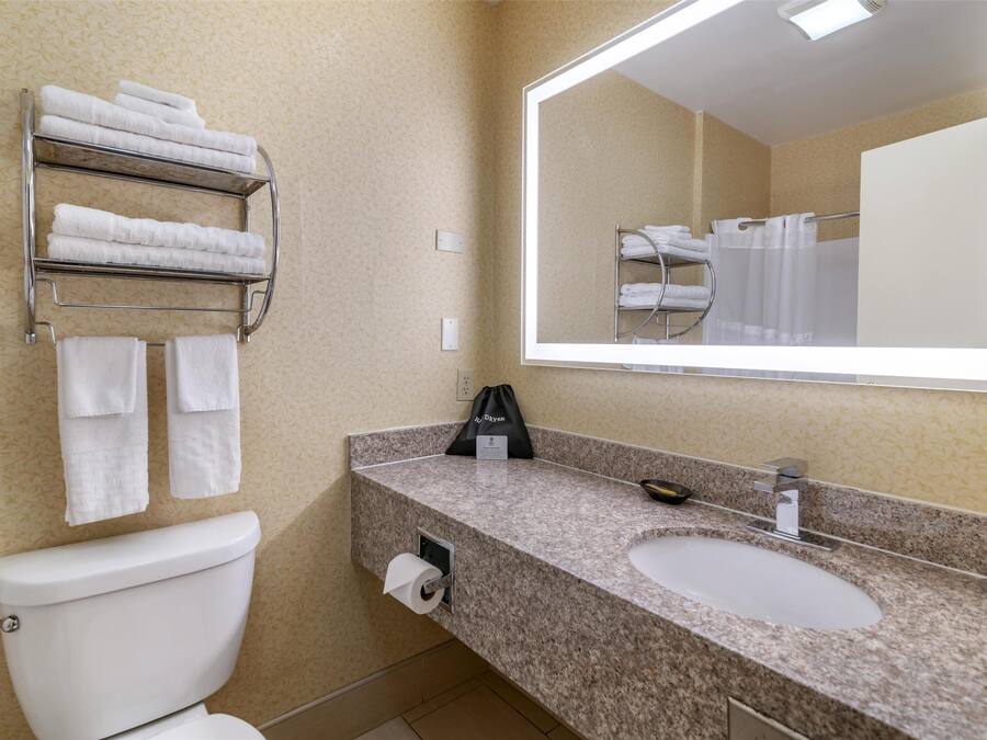 Een badkamer met een toilet, een wastafel, een handdoekhouder en een spiegel.