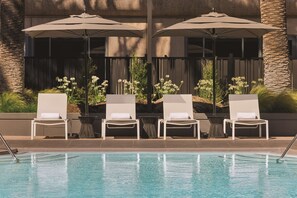 Una piscina al aire libre, sombrillas, sillones reclinables de piscina