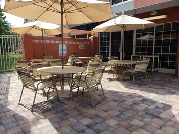 Outdoor pool, sun loungers at Quality Inn & Suites Near the Theme Parks