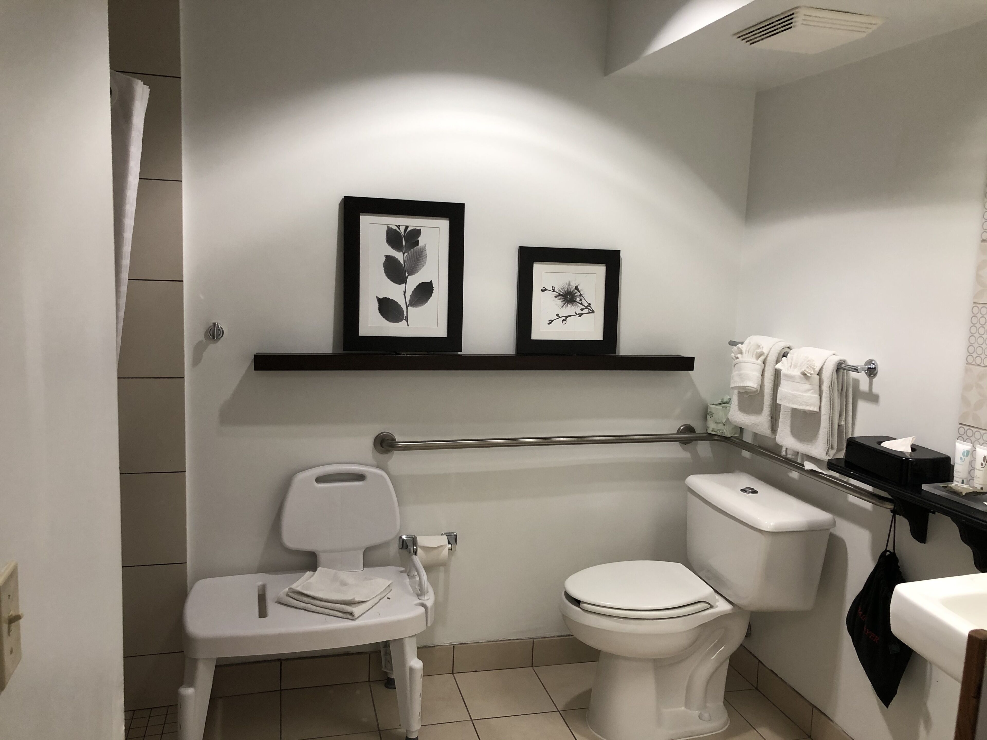 room, 1 queen bed, accessible, non smoking (roll-in shower) | bathroom | combined shower/bathtub, free toiletries, hair dryer, towels