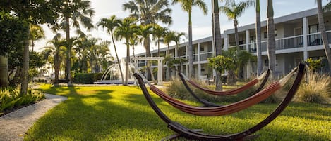 A grassy area with hammocks, palm trees, and a building with balconies.