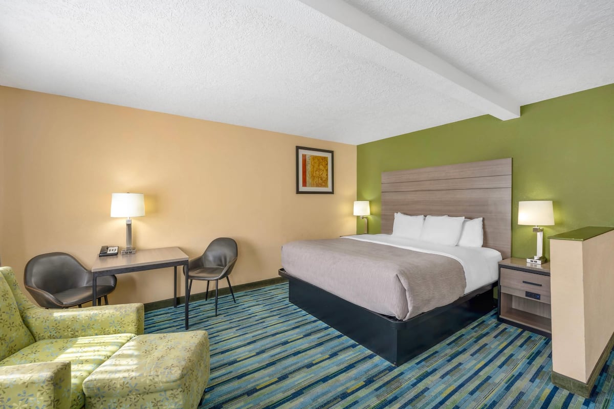 Suite, 1 King Bed with Sofa bed, Non Smoking