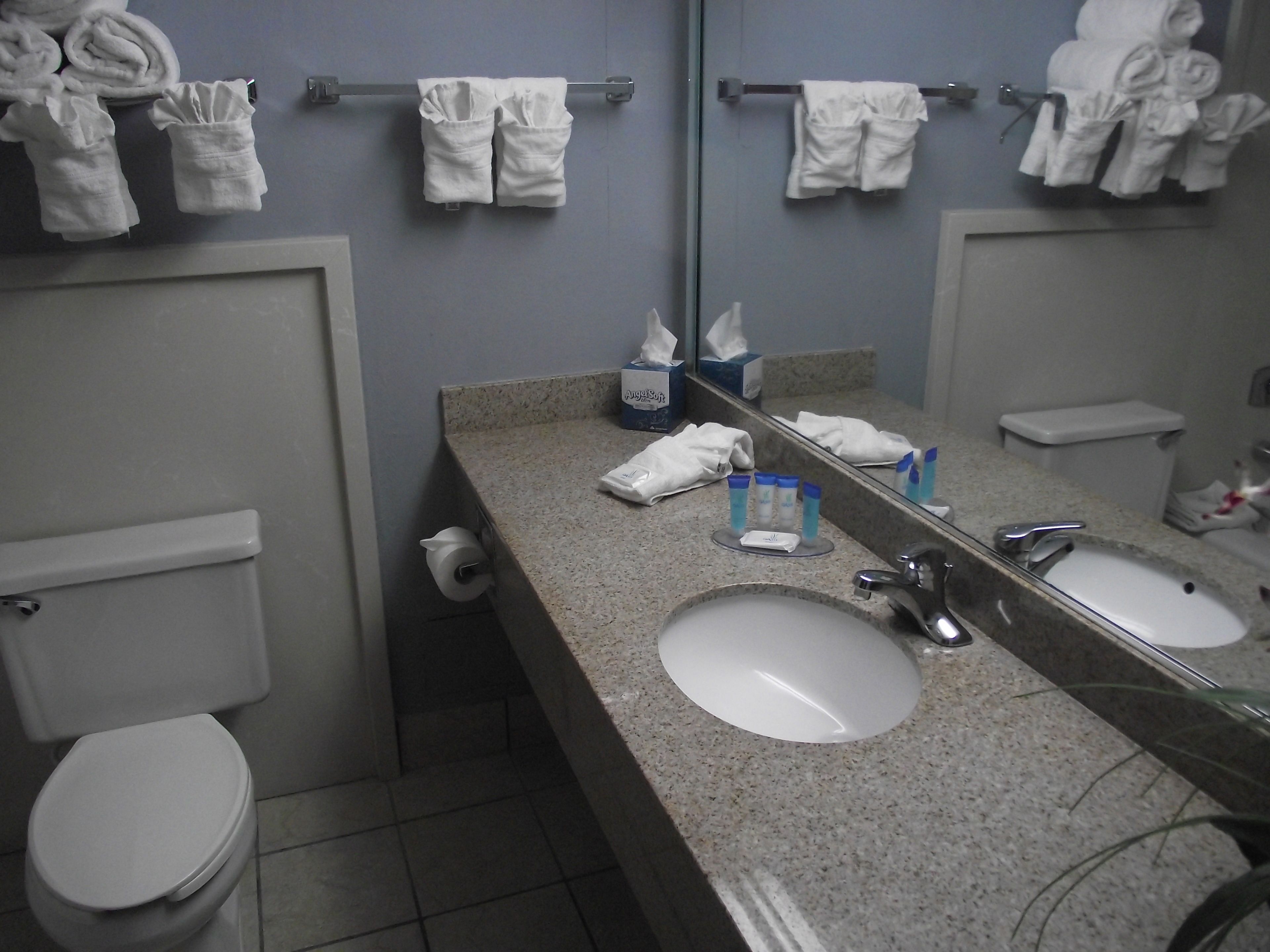 combined shower/bathtub, eco-friendly toiletries, hair dryer, towels