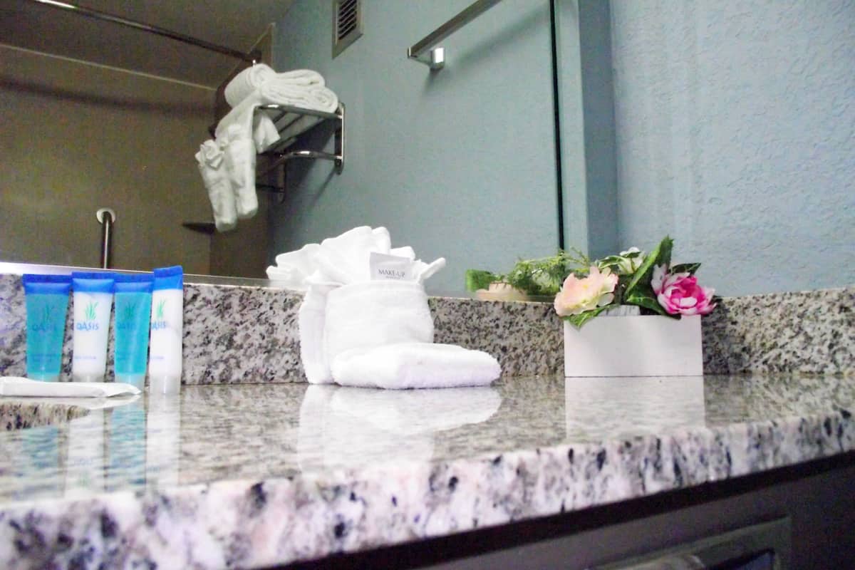 combined shower/bathtub, eco-friendly toiletries, hair dryer, towels