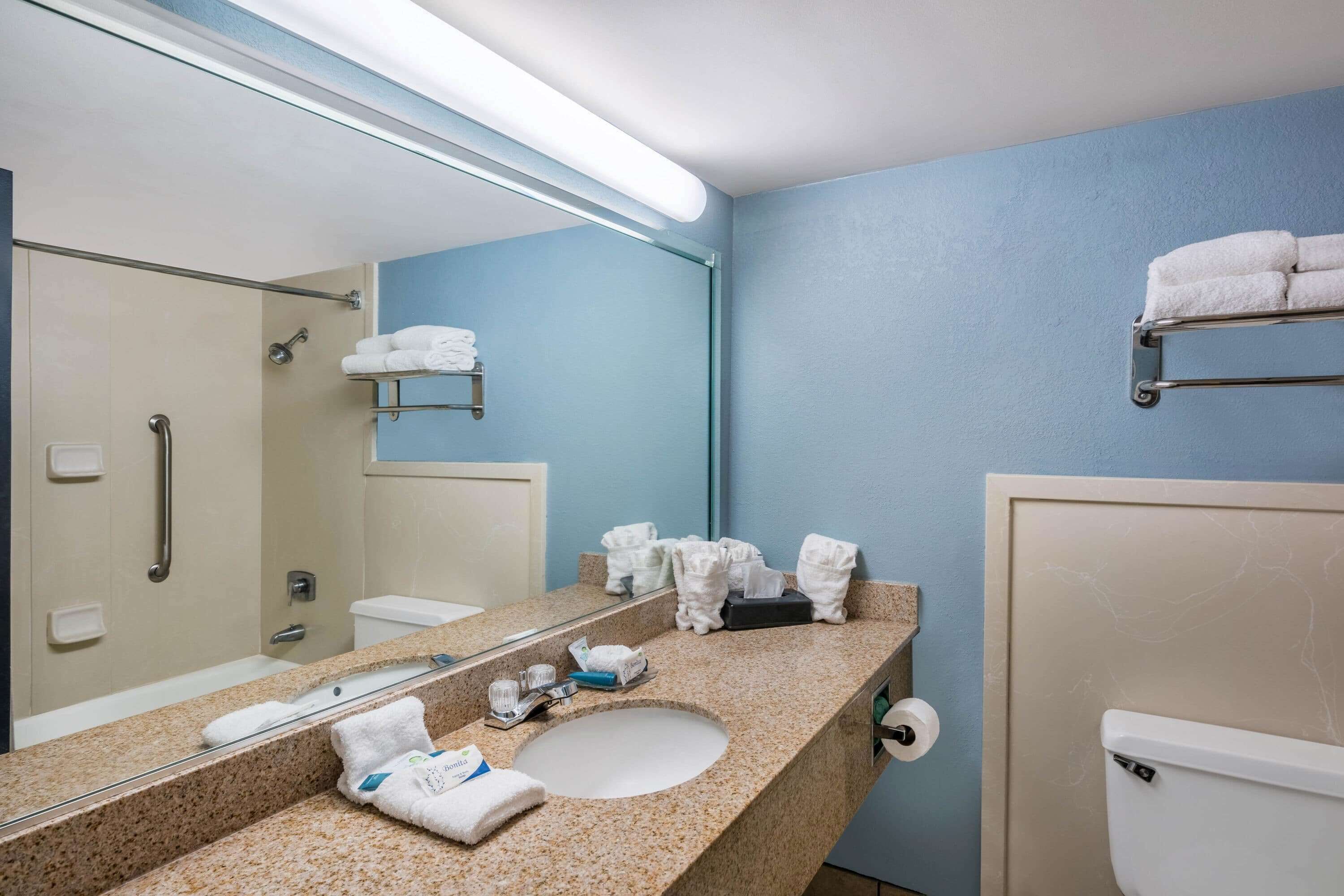 combined shower/bathtub, eco-friendly toiletries, hair dryer, towels