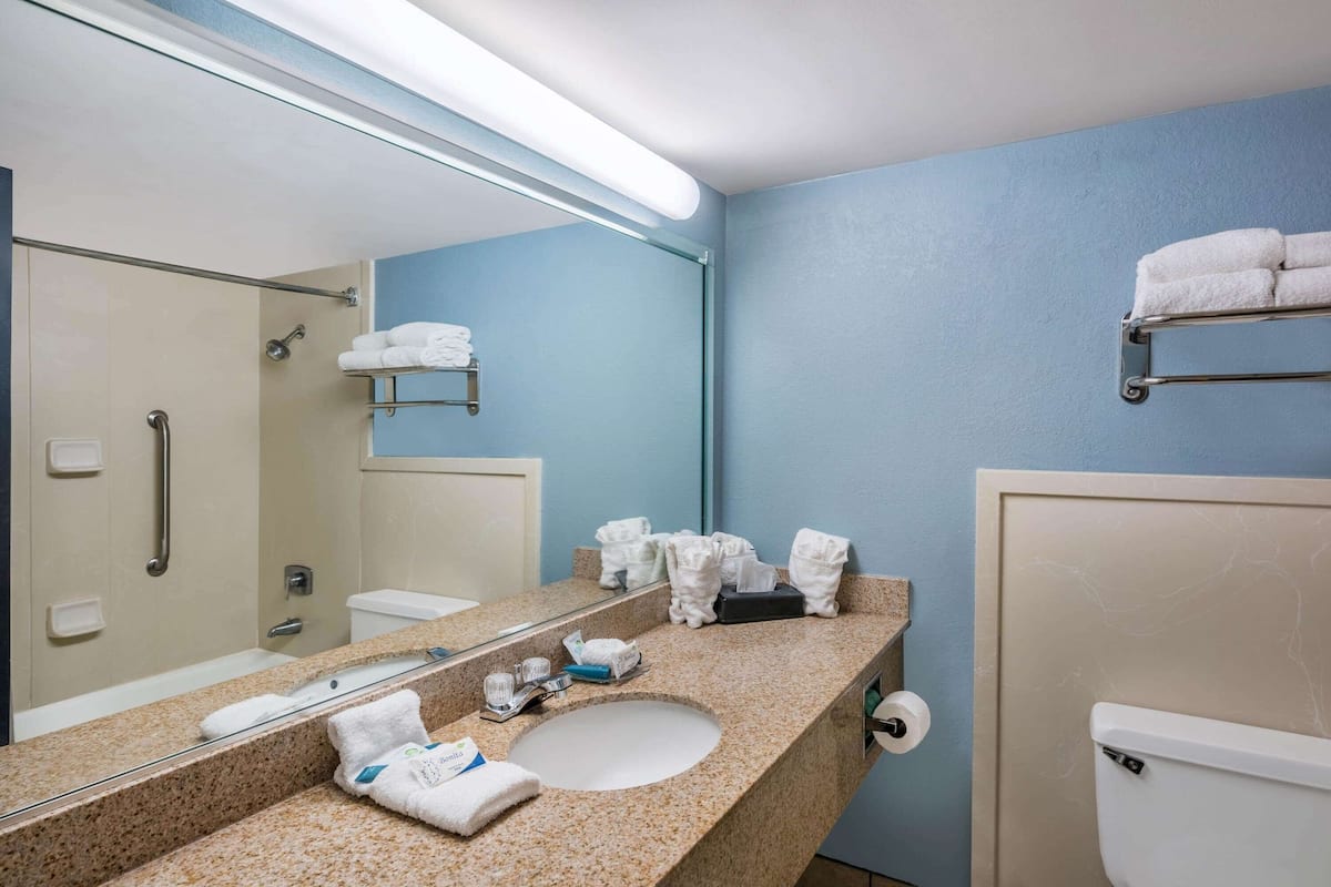 combined shower/bathtub, eco-friendly toiletries, hair dryer, towels