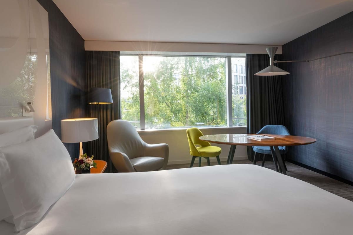 Room, 1 King Bed (Magnifique)