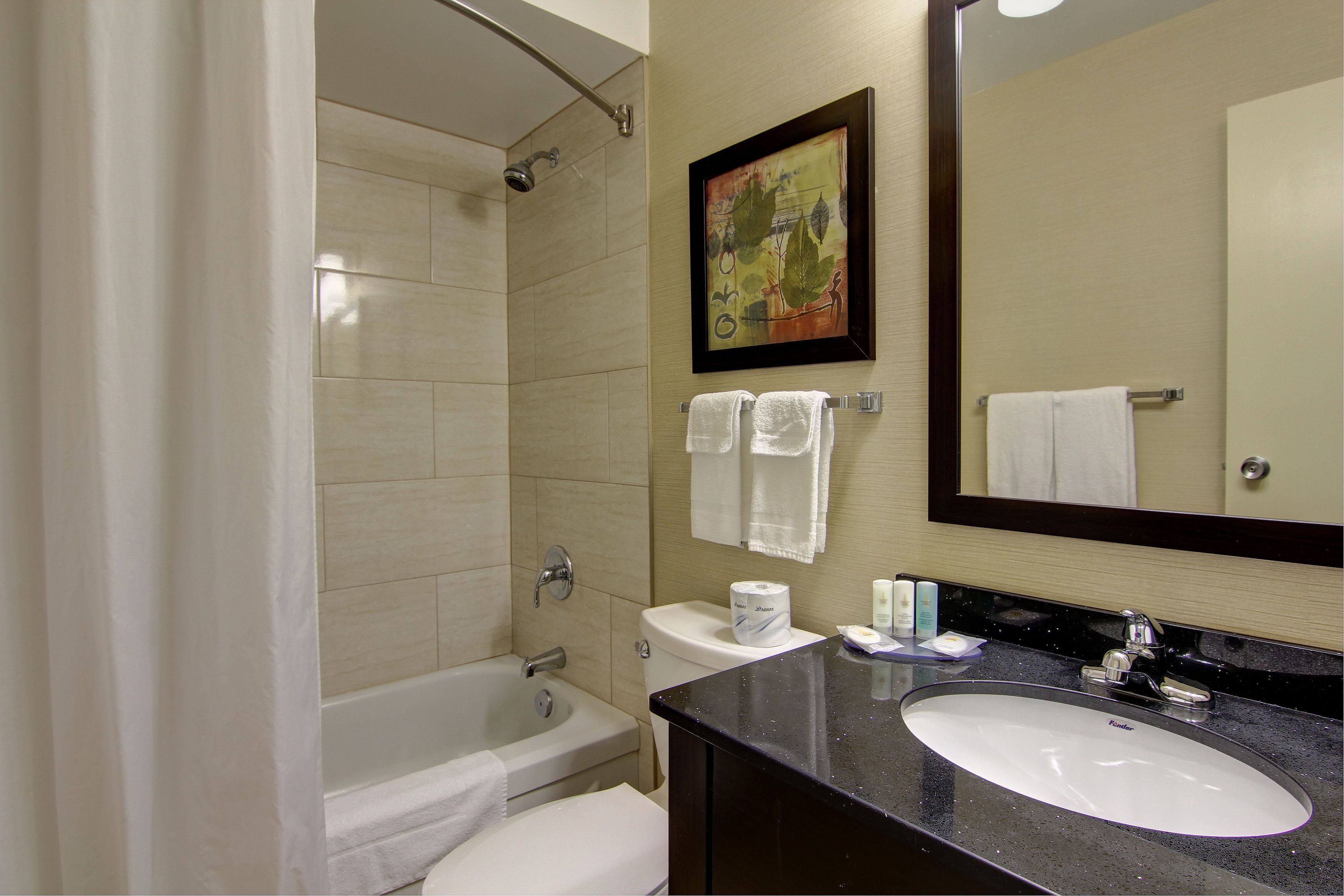 combined shower/bathtub, free toiletries, hair dryer, towels