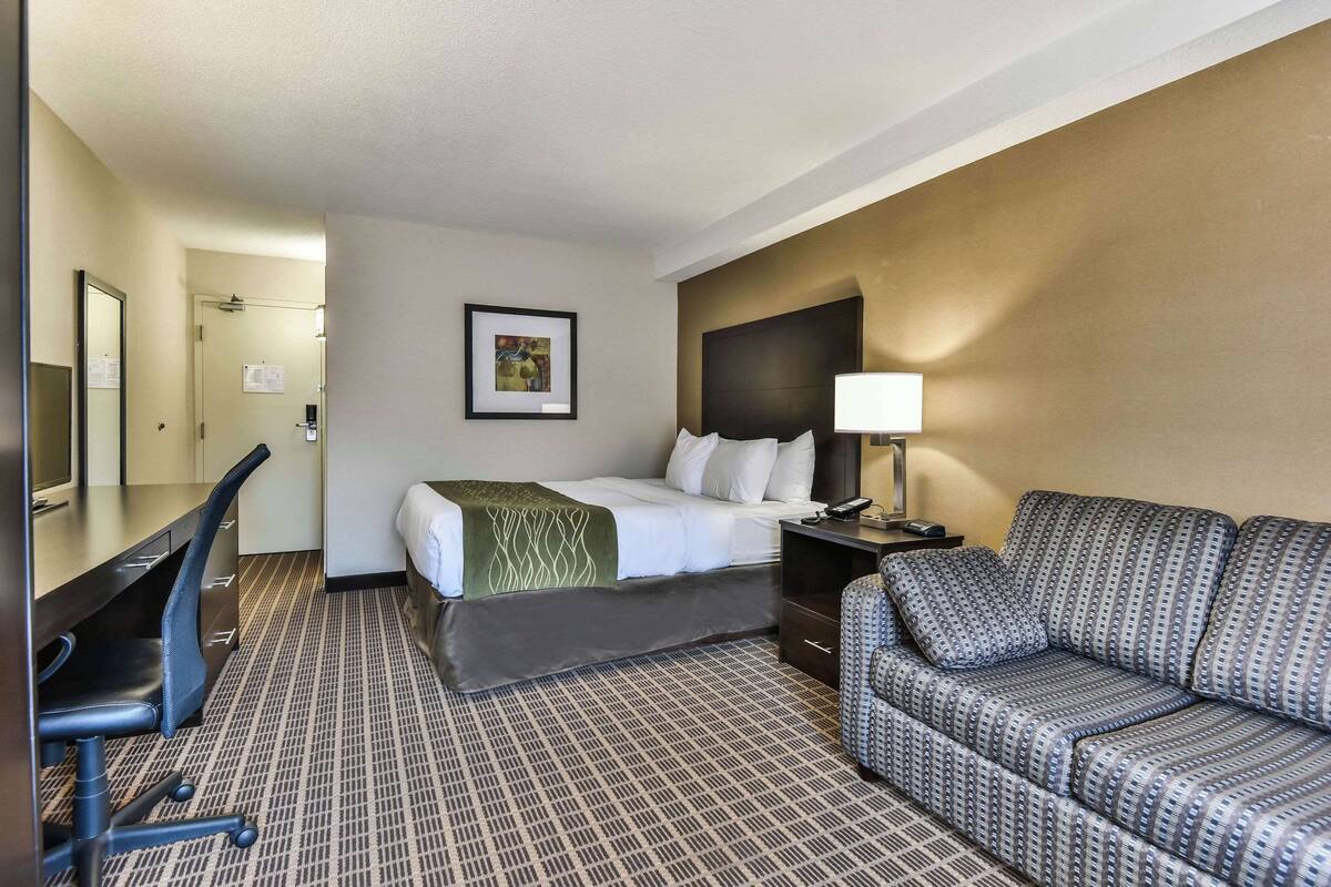 A hotel room with a bed, a desk, a chair, a sofa, and a lamp.
