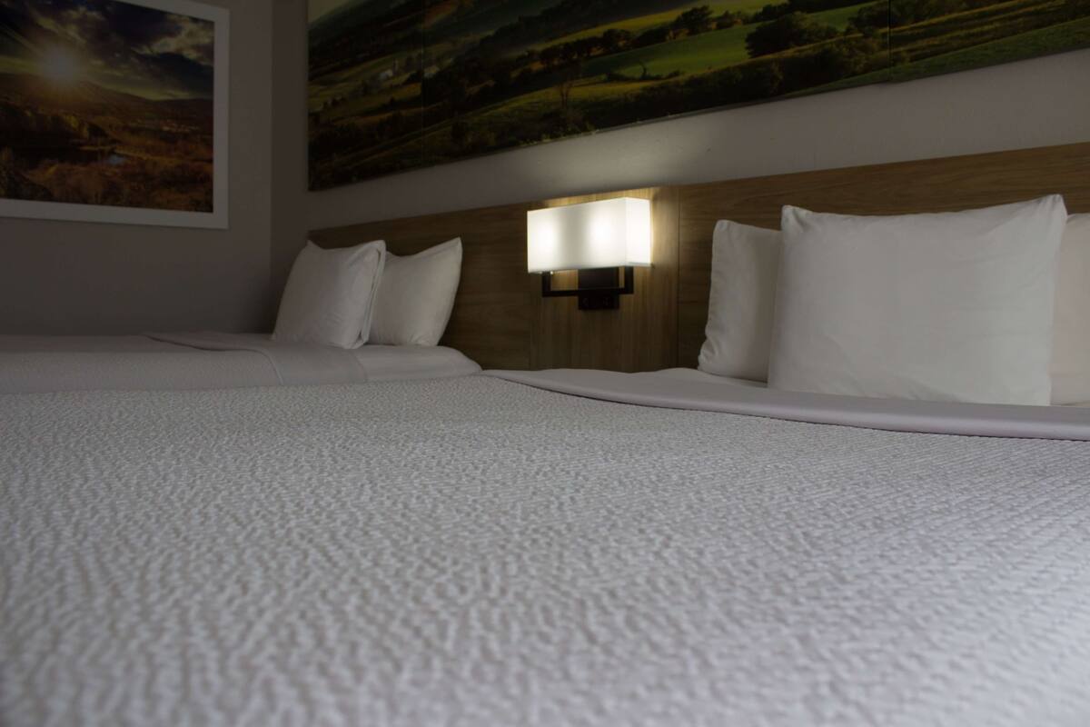 A hotel room with a large bed, white bedding, a headboard with a wall-mounted light, and a landscape painting above the bed.
