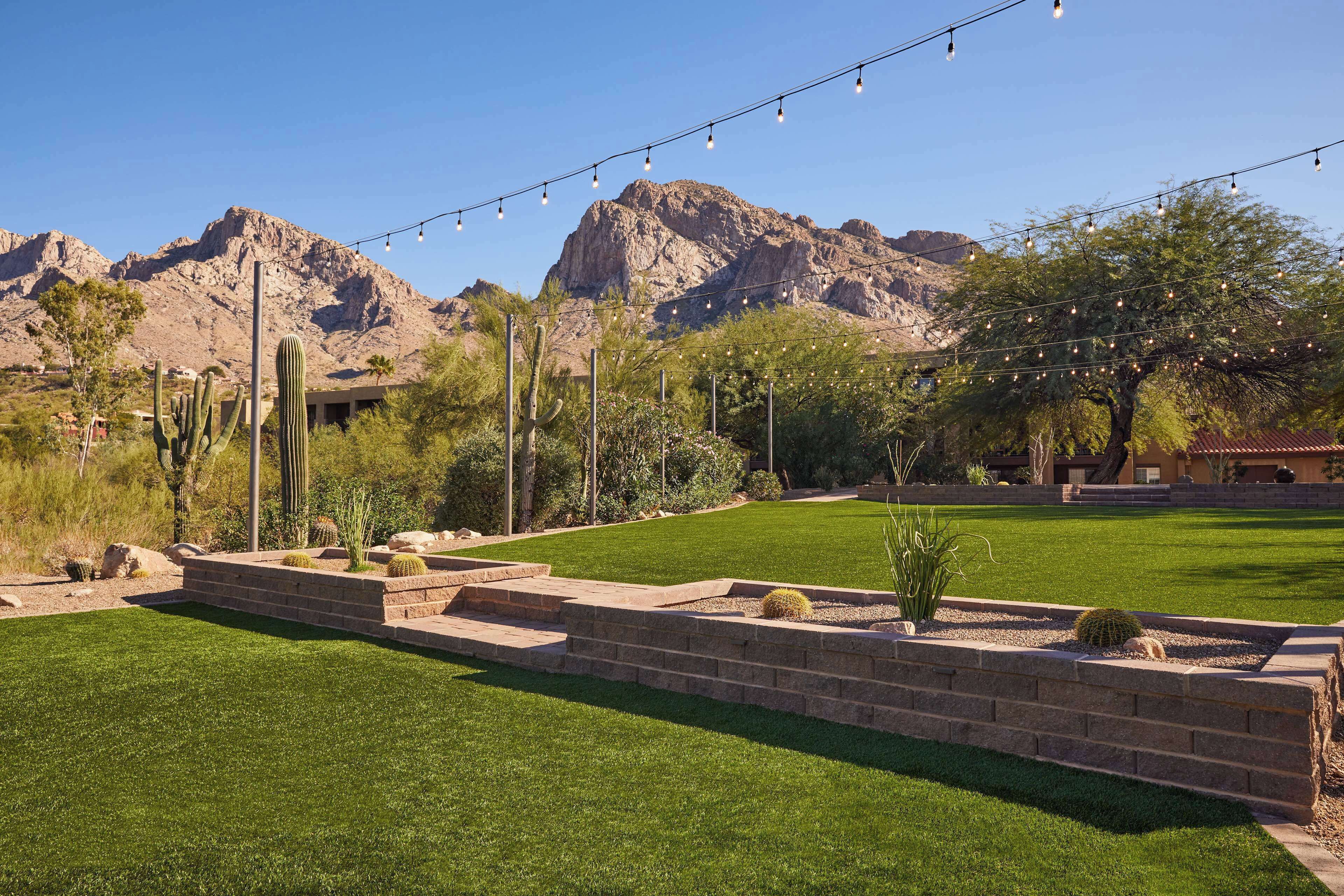A landscaped garden with a well-maintained lawn, a variety of cacti, and a mountain backdrop.