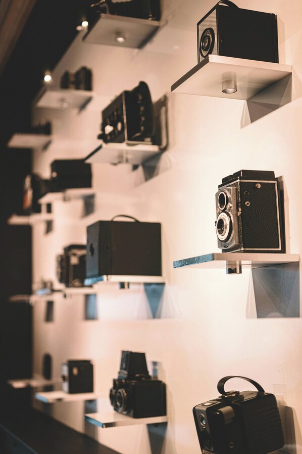A wall displaying various cameras on shelves.