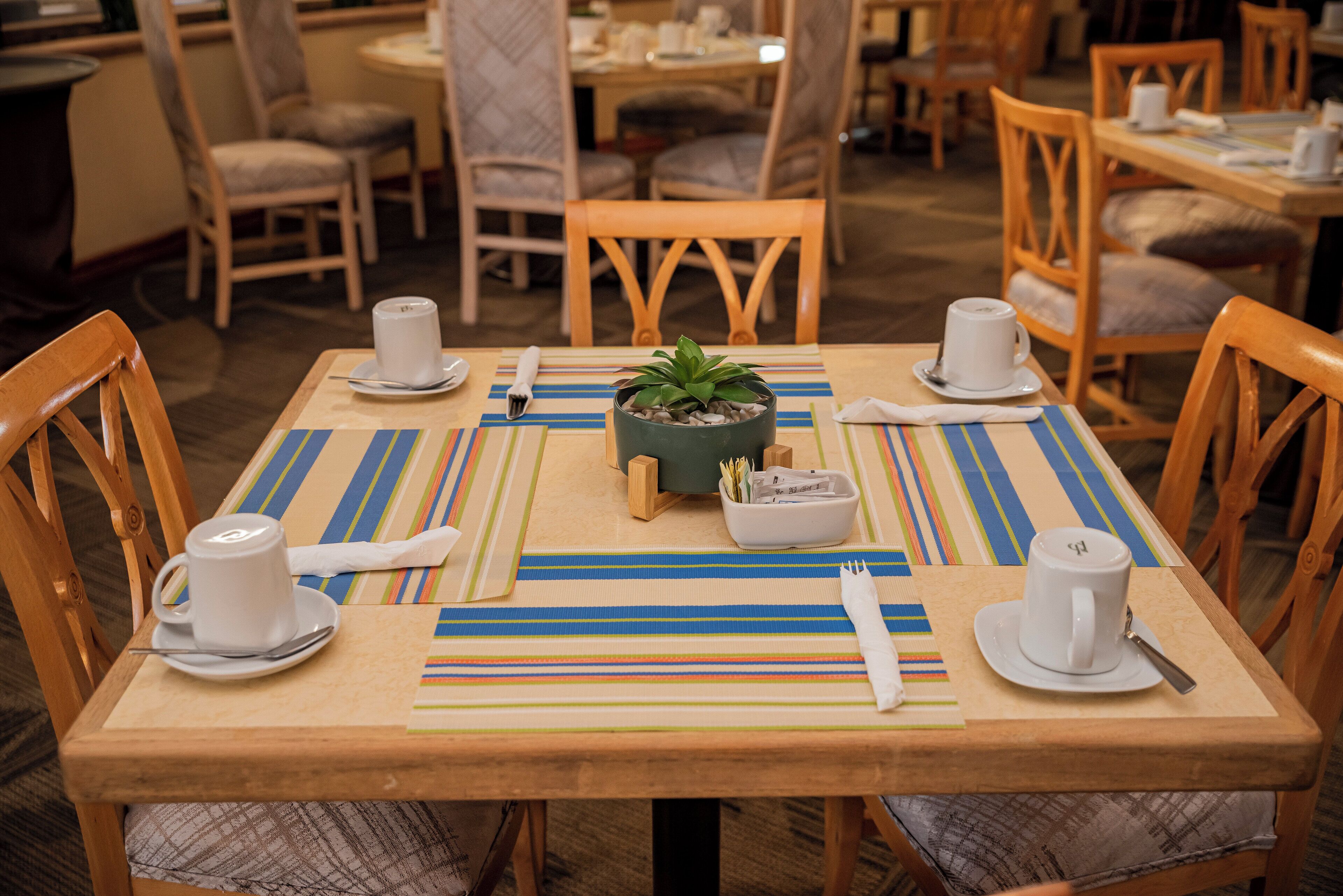 Una mesa de comedor dispuesta con tazas, platillos blancos y un pequeño centro de mesa con planta.