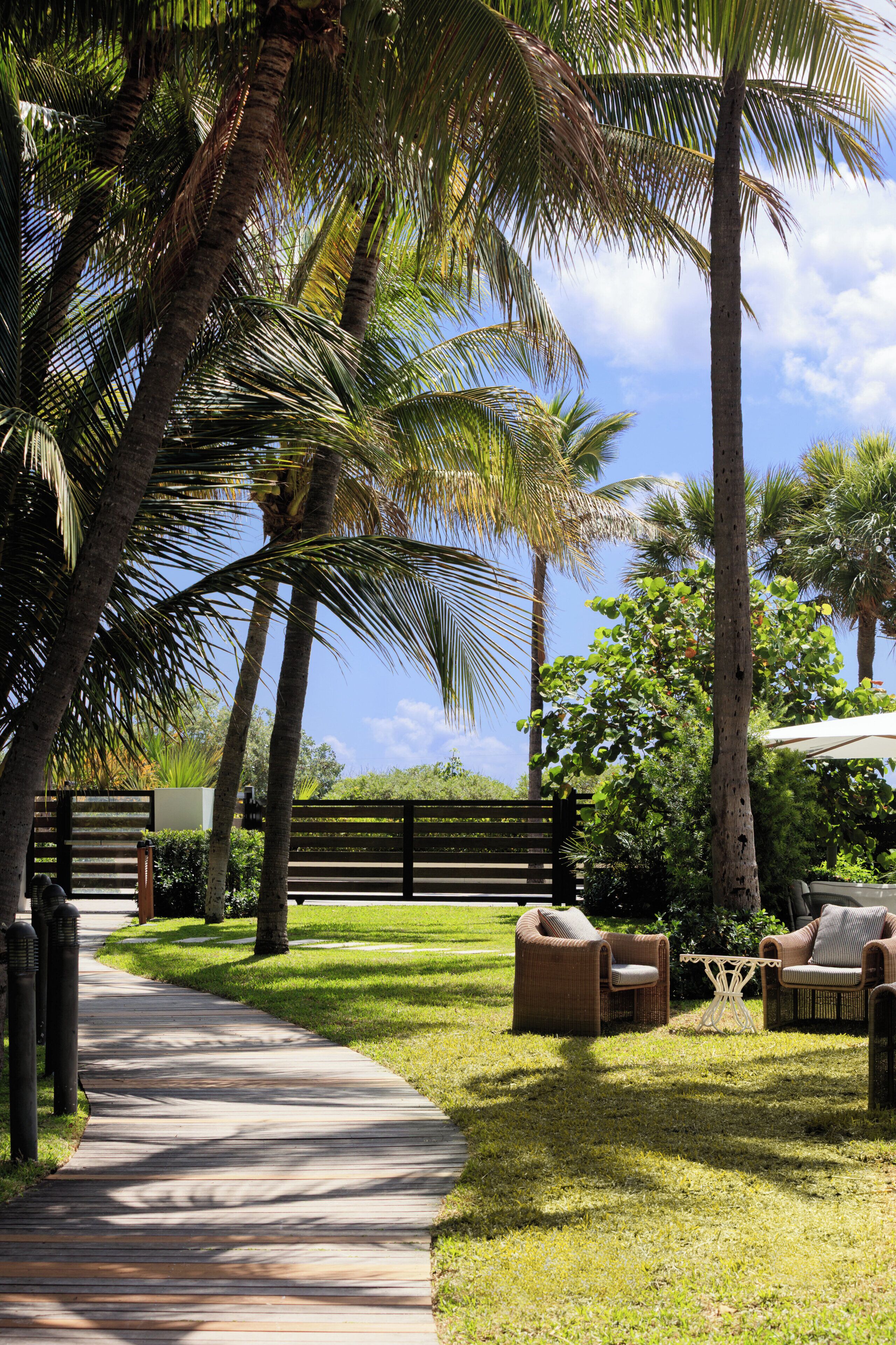 A pathway leading to outdoor seating with palm trees and a fence.