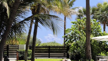 A pathway leading to outdoor seating with palm trees and a fence.