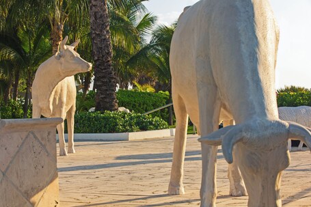 Kimpton Surfcomber Hotel, an IHG Hotel - Image 66