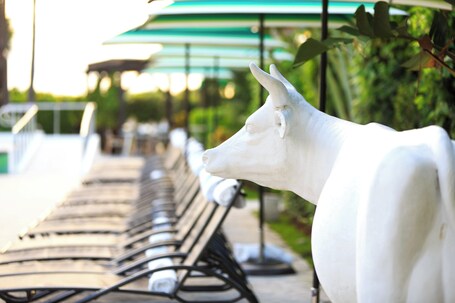 Kimpton Surfcomber Hotel, an IHG Hotel - Image 69