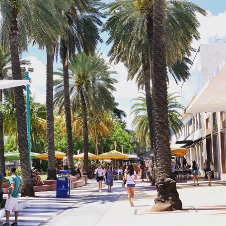 Kimpton Surfcomber Hotel, an IHG Hotel - Image 47