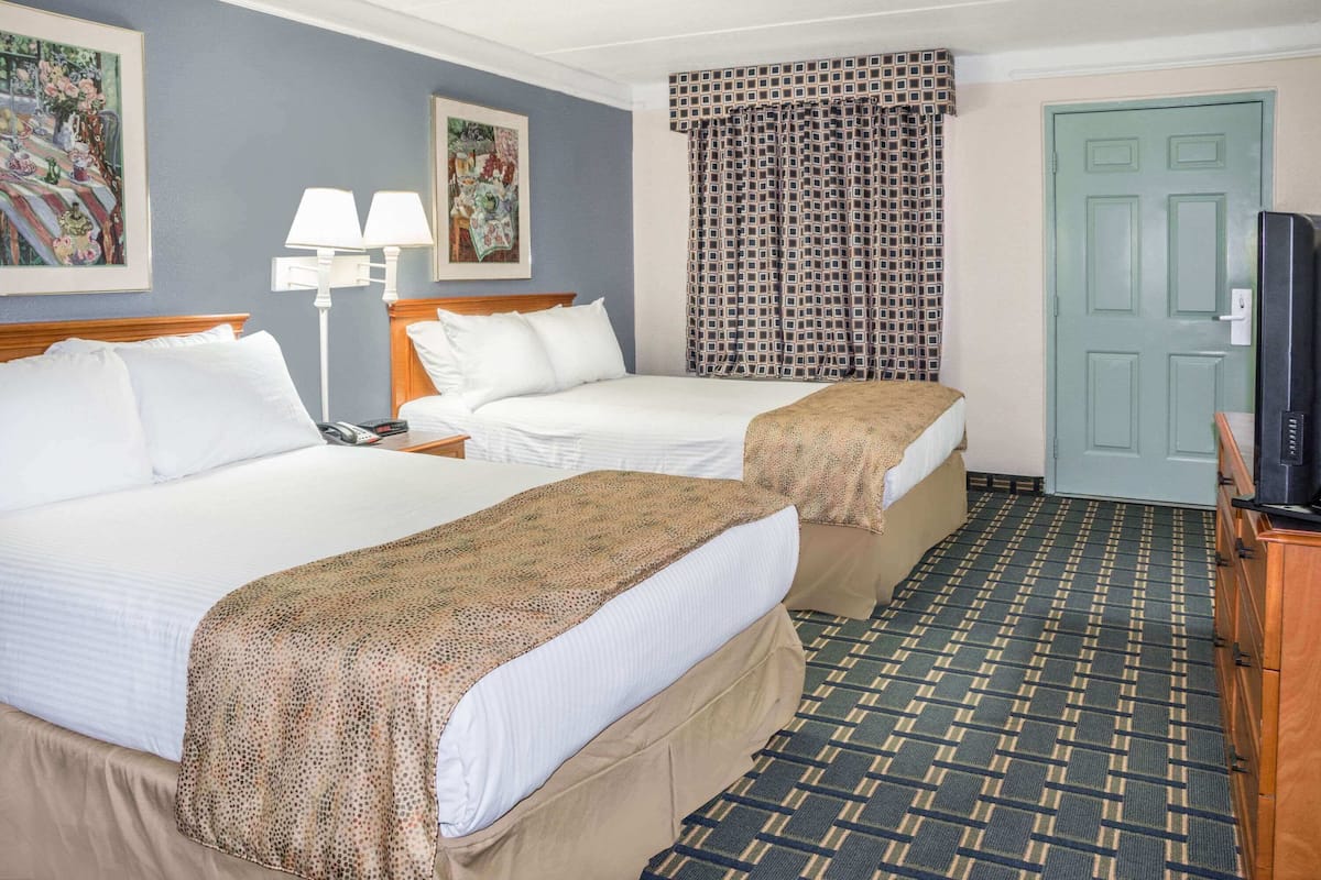 A hotel room with two beds, a television, a desk with a lamp, and a patterned carpet.