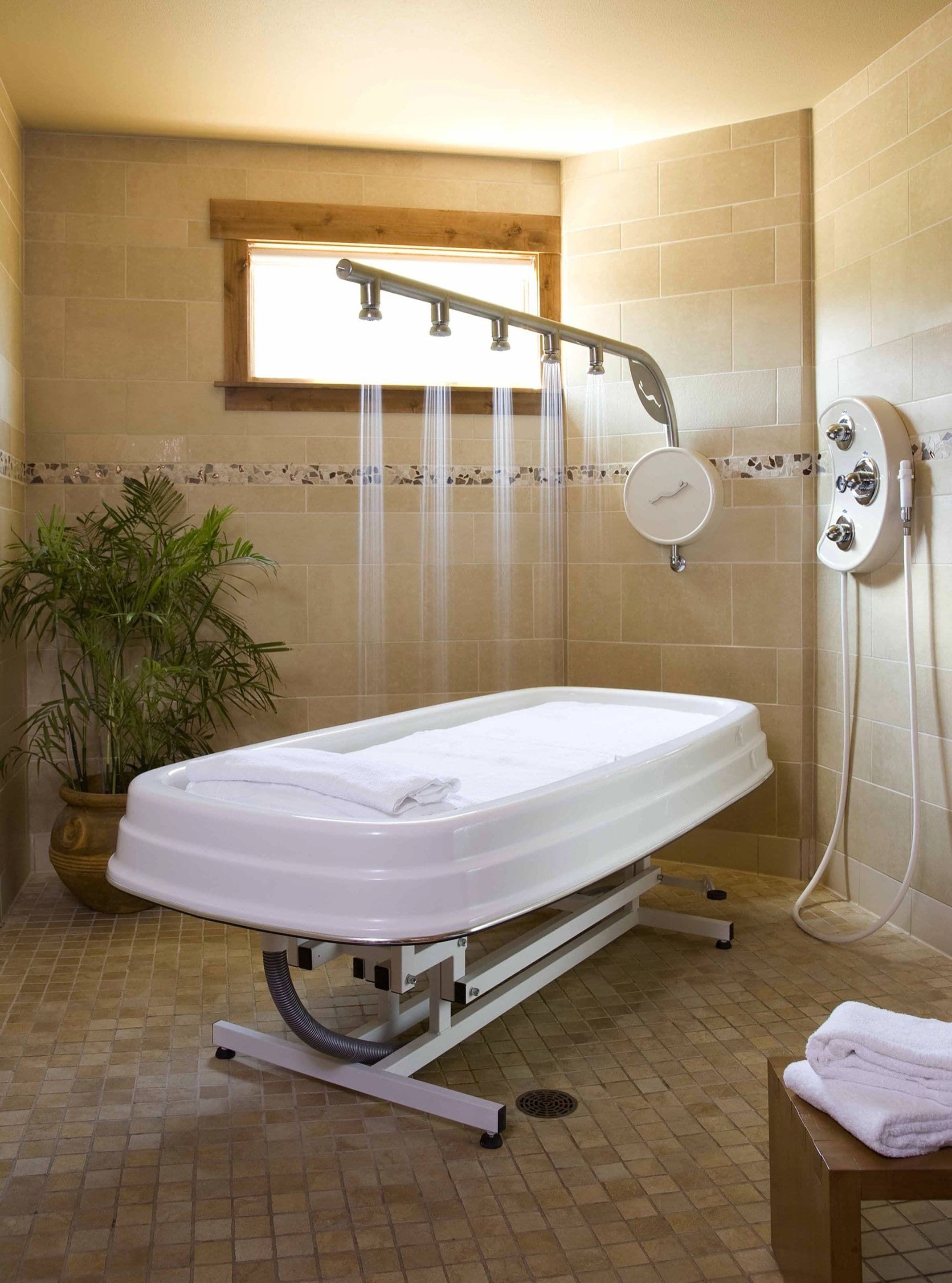 A bathroom with a white bathtub, a shower with a handheld showerhead, and a potted plant.