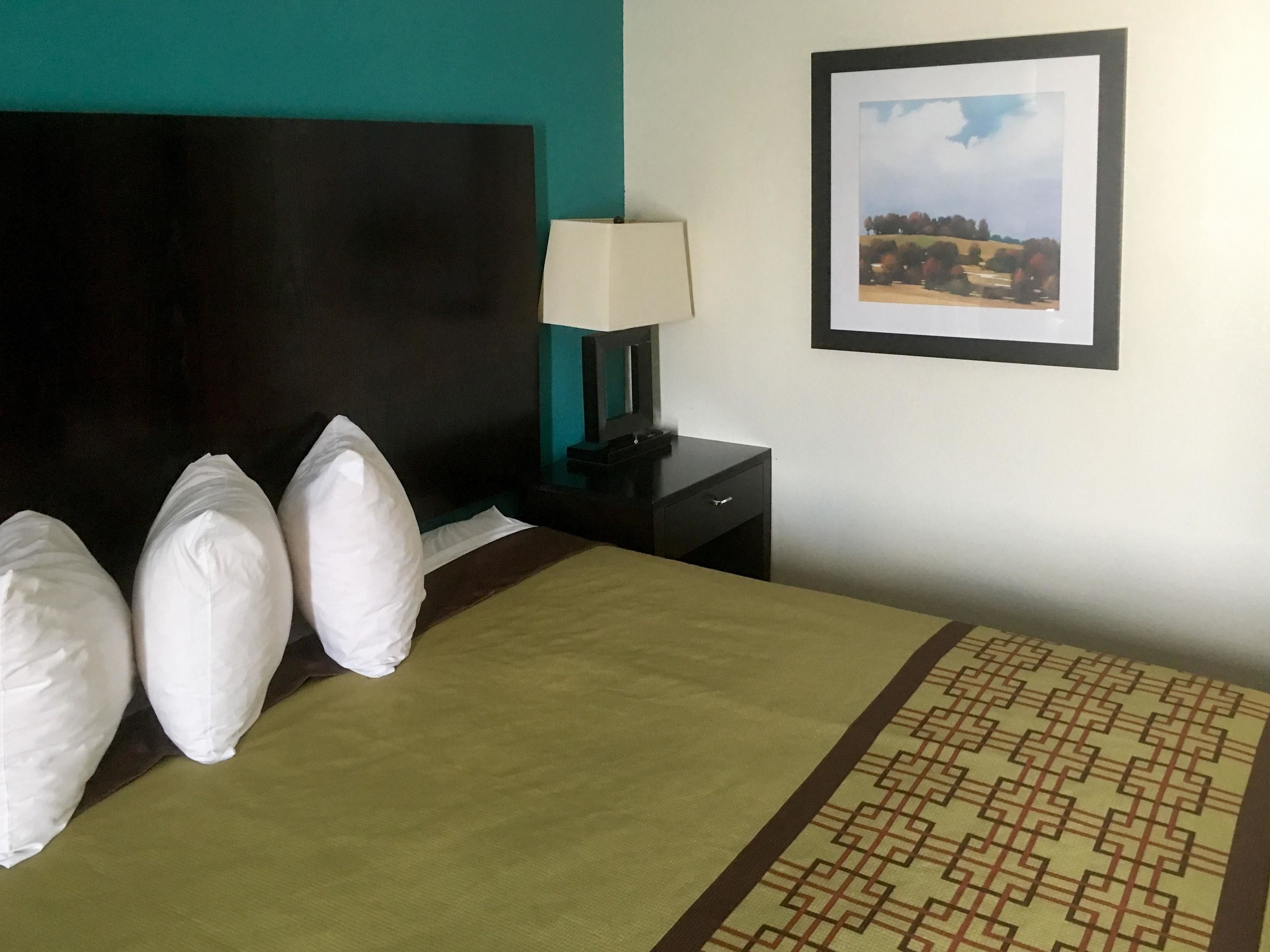 A hotel room with a bed, pillows, a nightstand, a lamp, and a framed picture on the wall.