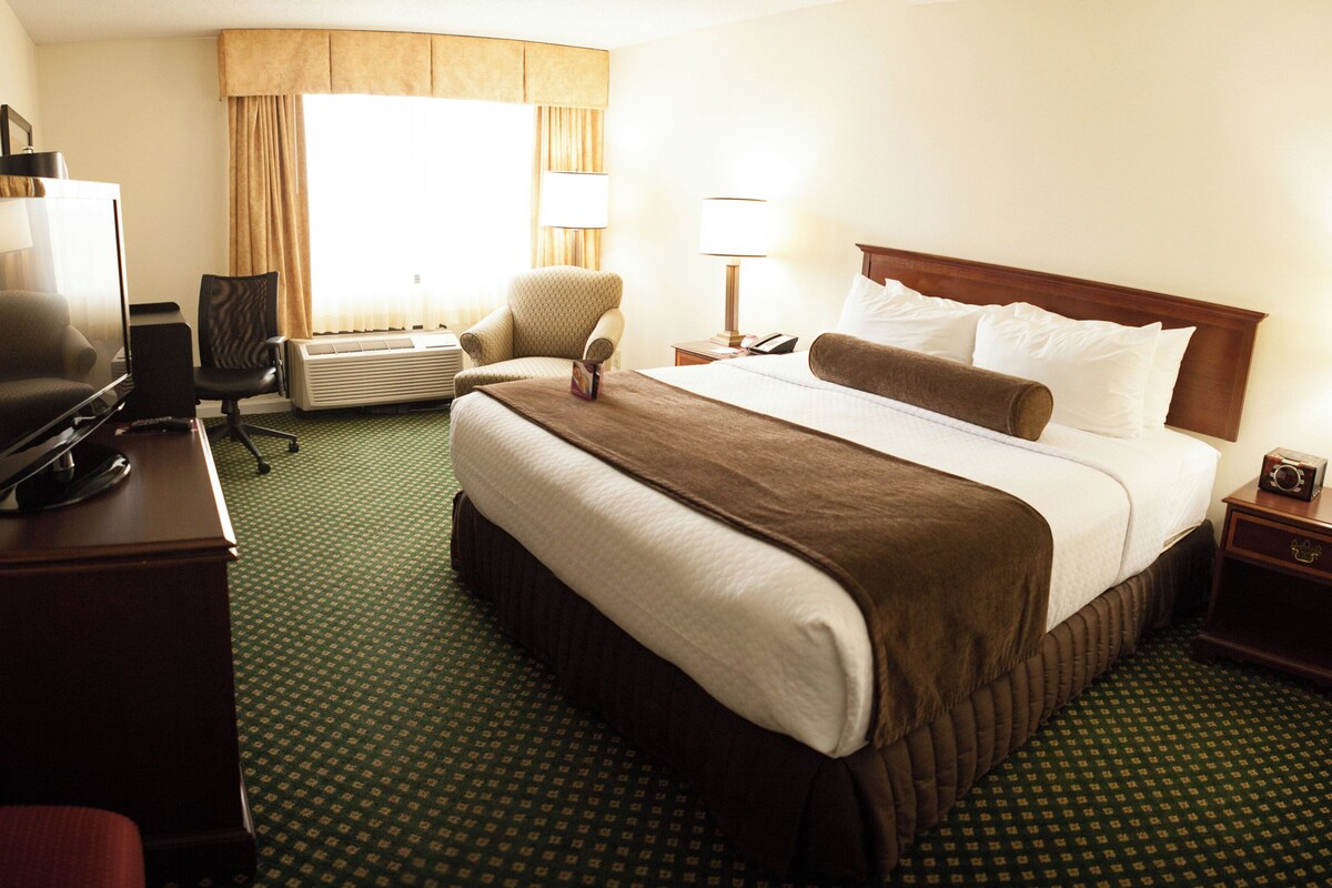 A hotel room with a bed, a desk with a television, a chair, a lamp, and a nightstand.