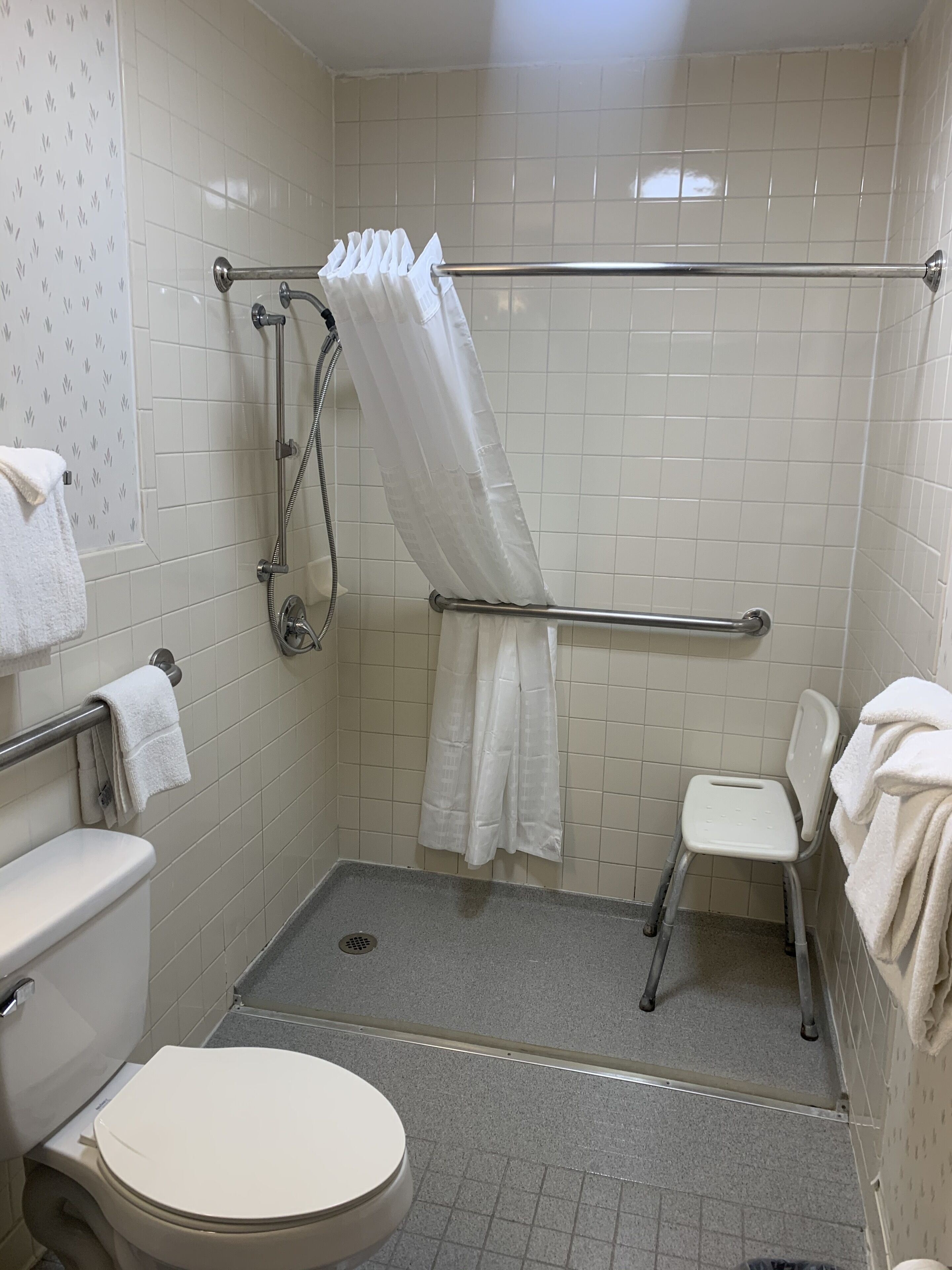A wheelchair-accessible bathroom with a shower, toilet, and grab bars.