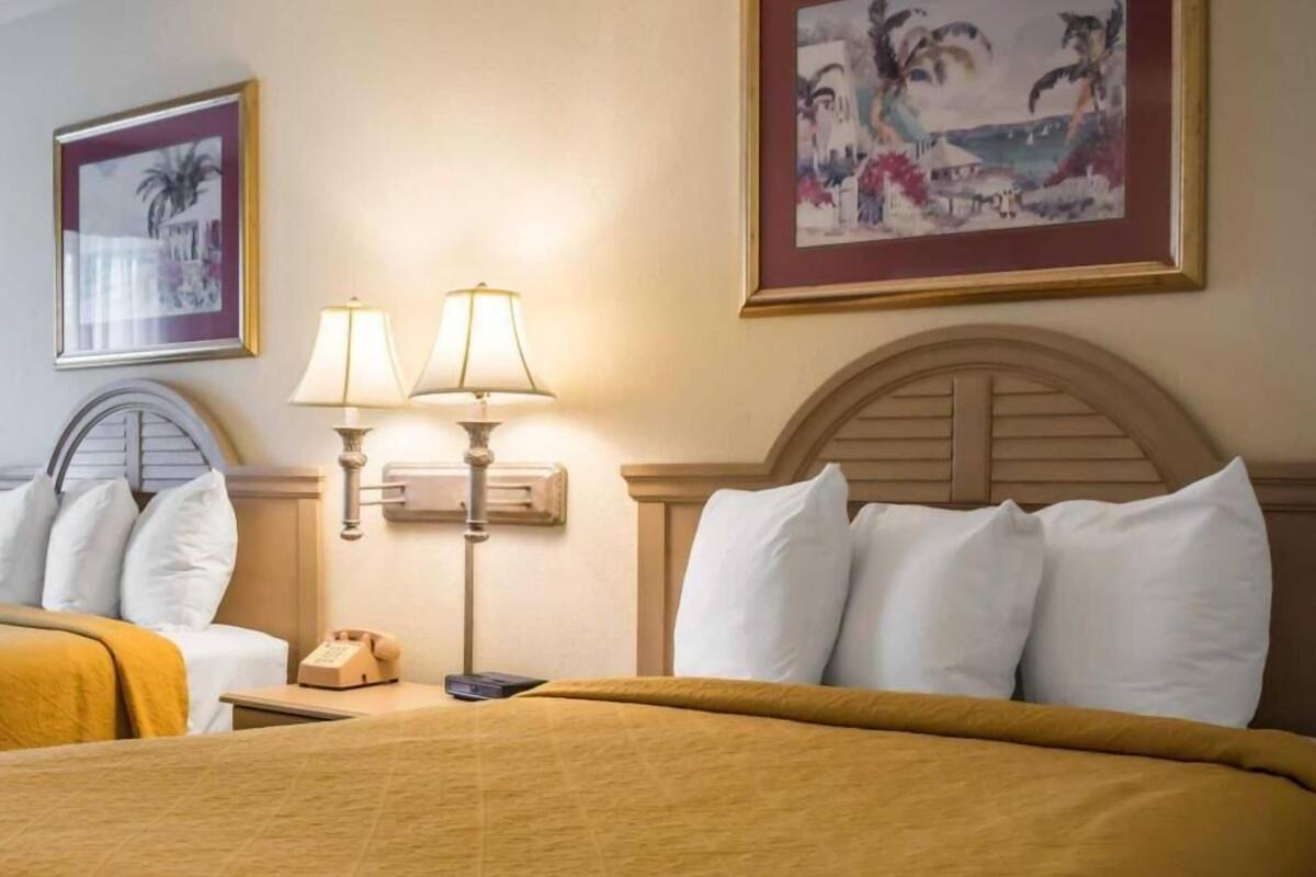 A hotel room with a bed, two bedside lamps, a nightstand, a telephone, and two framed pictures on the wall.