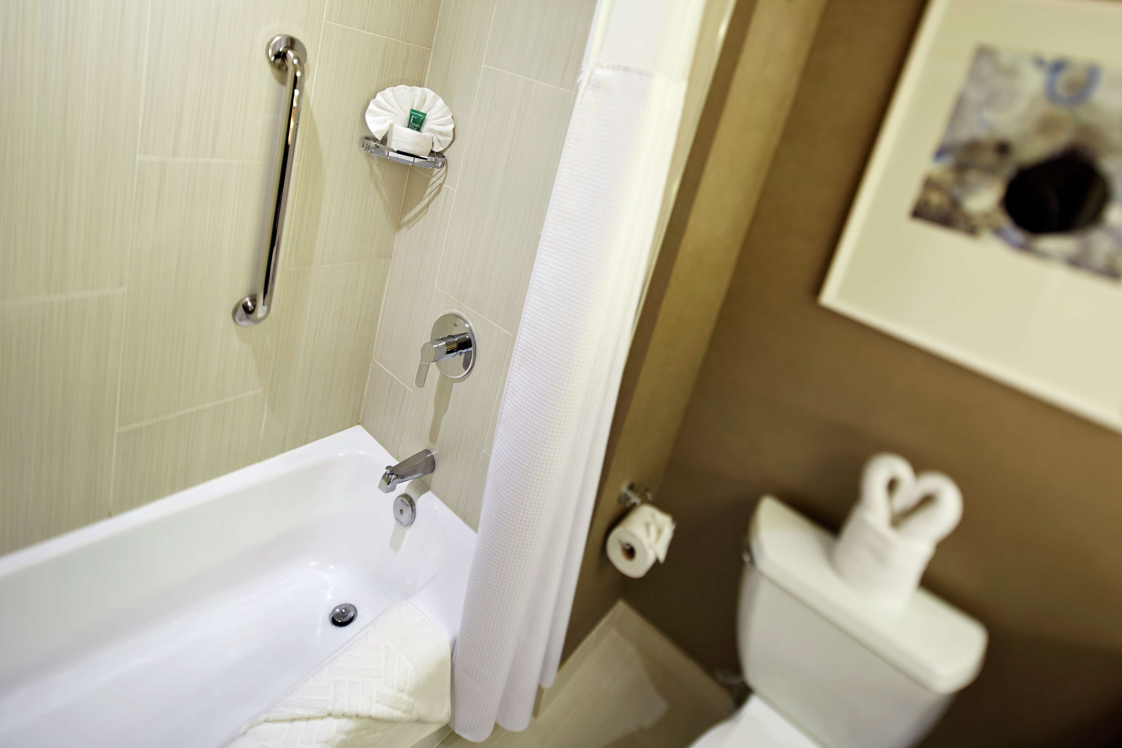A bathroom with a bathtub, toilet, and handrails.