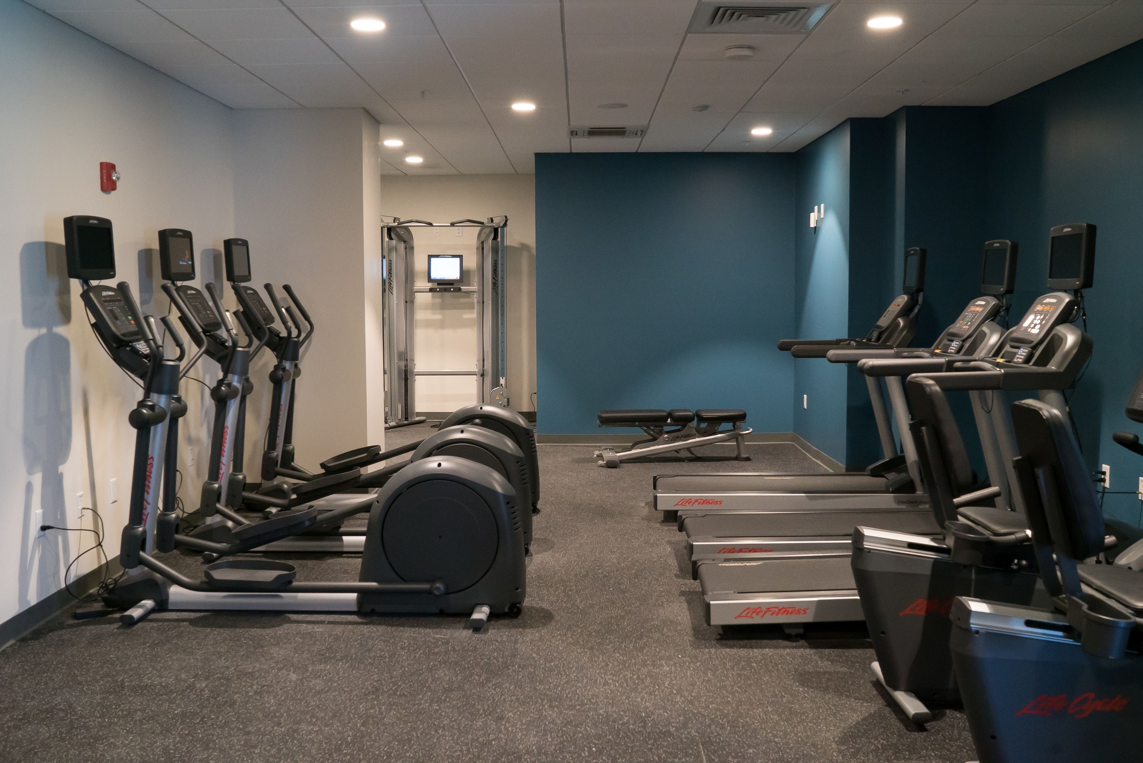 A gym with treadmills, elliptical machines, and a weight bench.