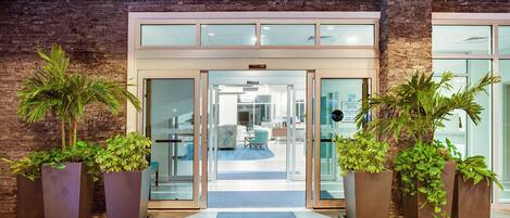 A hotel entrance with a glass door, potted plants, and a carpeted path leading inside.