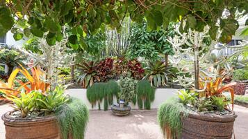 Un jardín con diversas plantas en macetas y una fuente central.