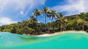 A beach with turquoise water, palm trees, and a building in the background. - Shangri-La The Marina, Cairns (Cairns)