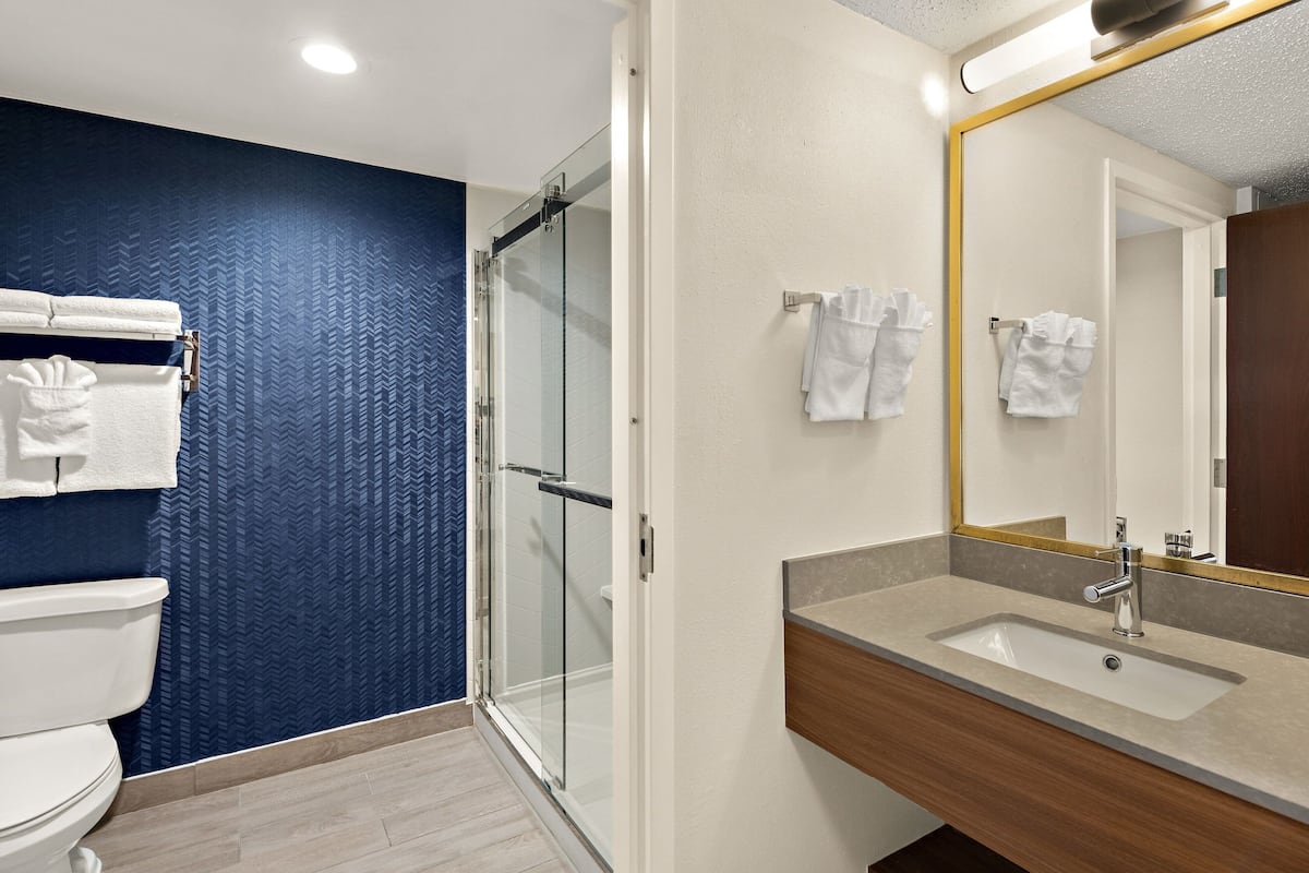 combined shower/bathtub, free toiletries, hair dryer, towels