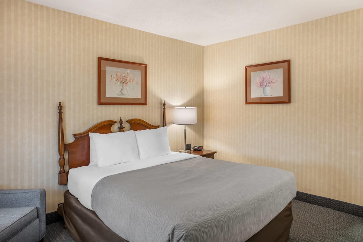 A hotel room with a large bed, a nightstand with a lamp, two framed floral pictures on the walls, and a gray armchair.
