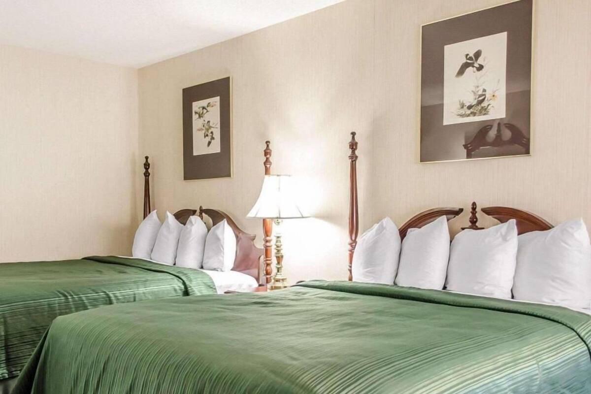A hotel room with two beds, a nightstand, a lamp, and two framed pictures on the wall.