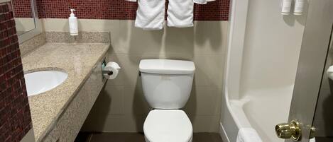 Un baño con inodoro blanco, lavabo y espejo. Toallas cuelgan de un perchero y hay dos botellas de productos Terra Green en la pared.