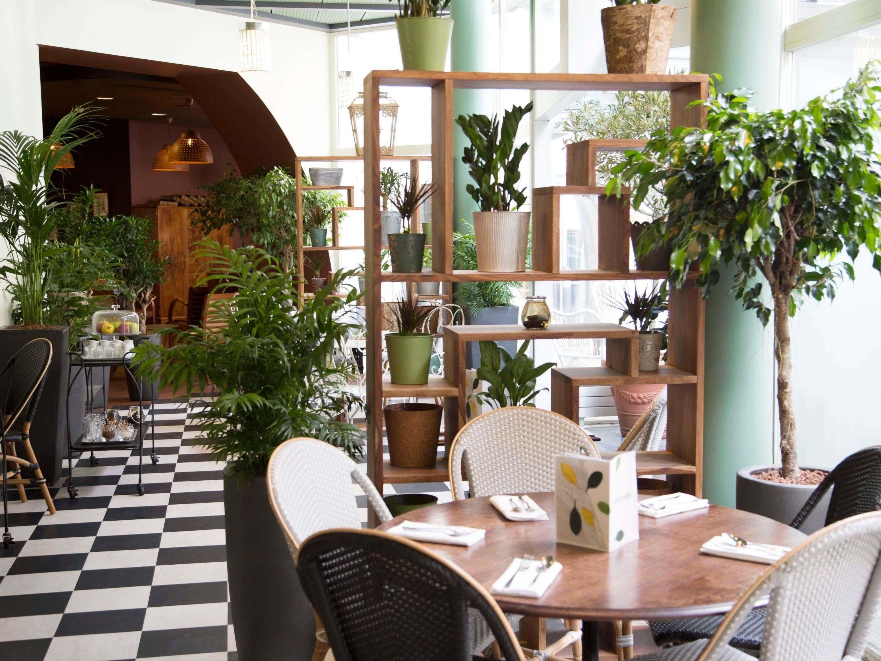 A restaurant with a checkered floor, round tables, and chairs. There are potted plants on shelves and a large tree in the corner.