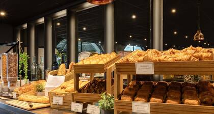 ibis Paris Tour Eiffel Cambronne 15Ăšme