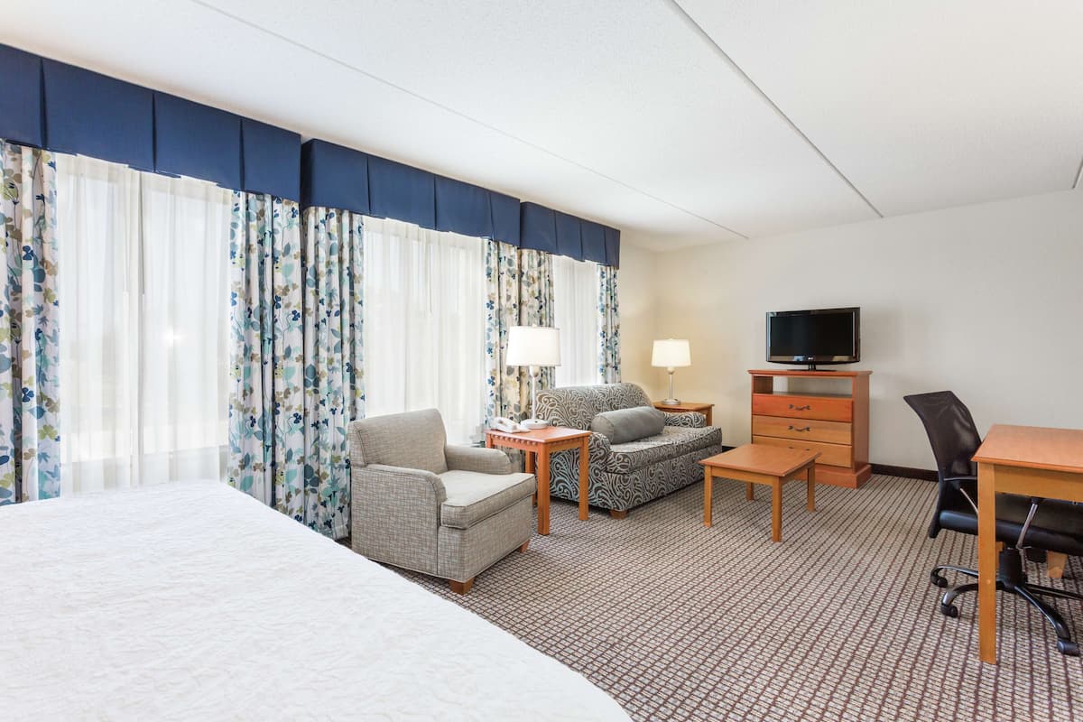 suite, 1 king bed, accessible, non smoking | in-room safe, iron/ironing board, free cots/infant beds, rollaway beds