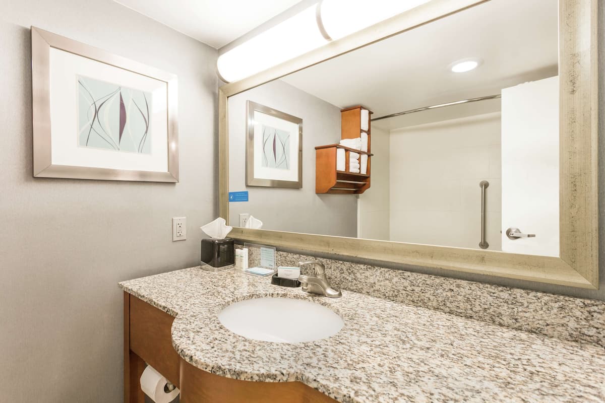 combined shower/bathtub, free toiletries, hair dryer, towels