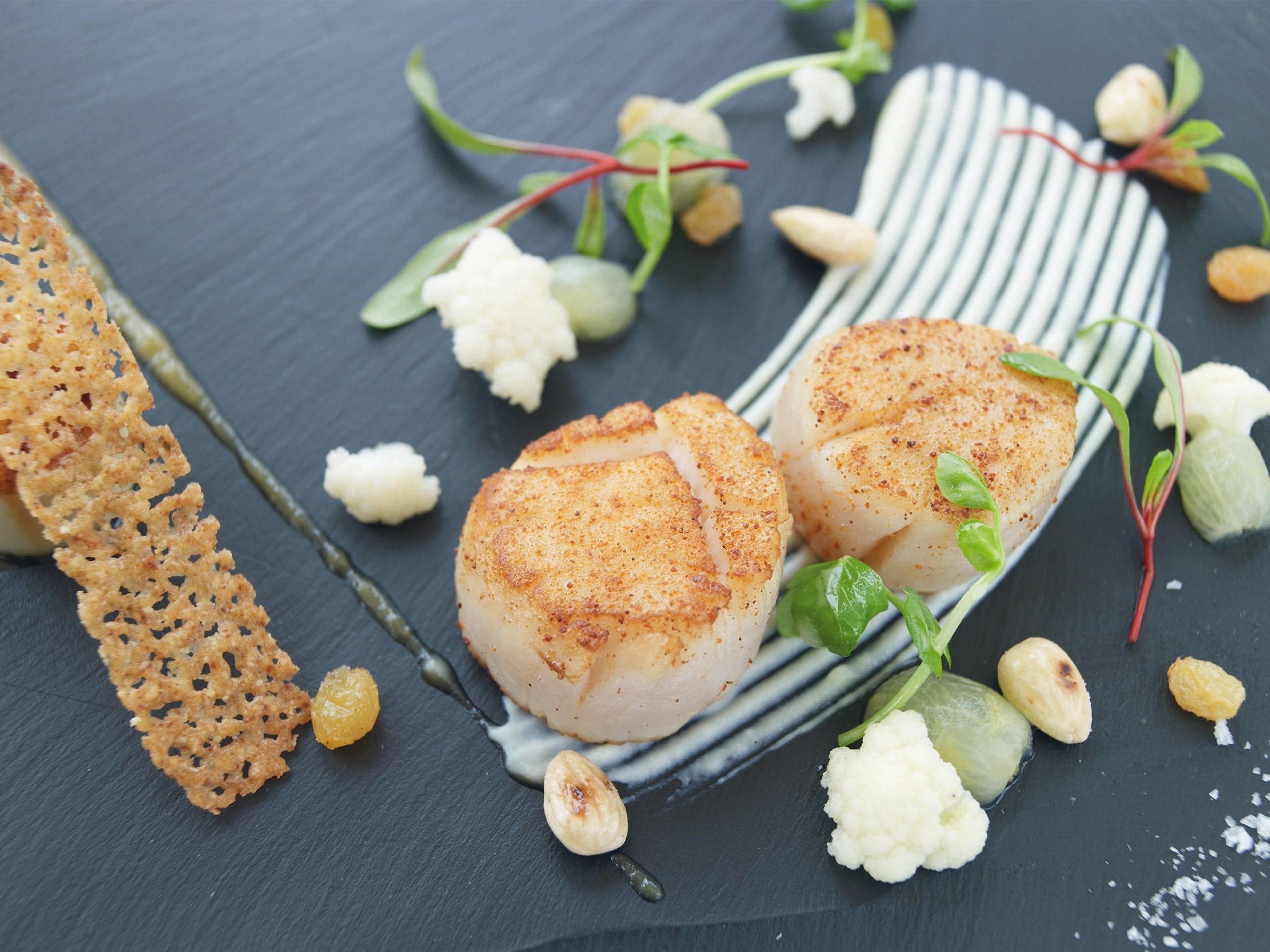 A plate with seared scallops, garnished with microgreens and a slice of lemon.