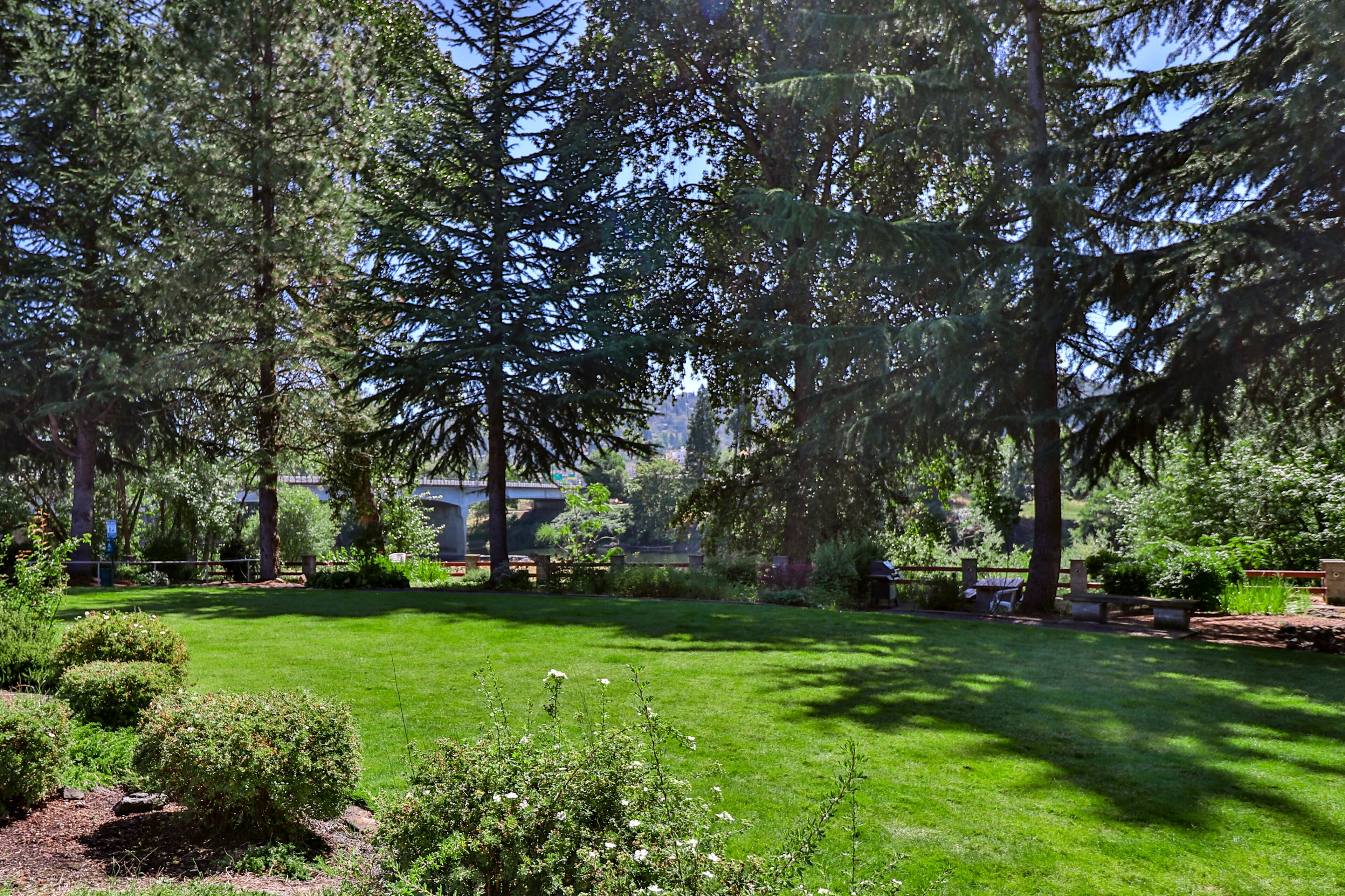 A well-maintained garden with a variety of trees, a lawn, and a bridge in the background.