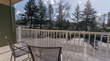 A balcony with two chairs, a view of a parking lot, and tall trees in the background.