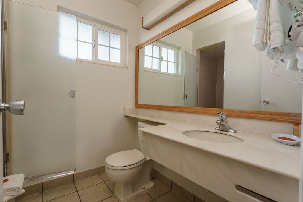 A bathroom with a toilet, sink, and mirror.