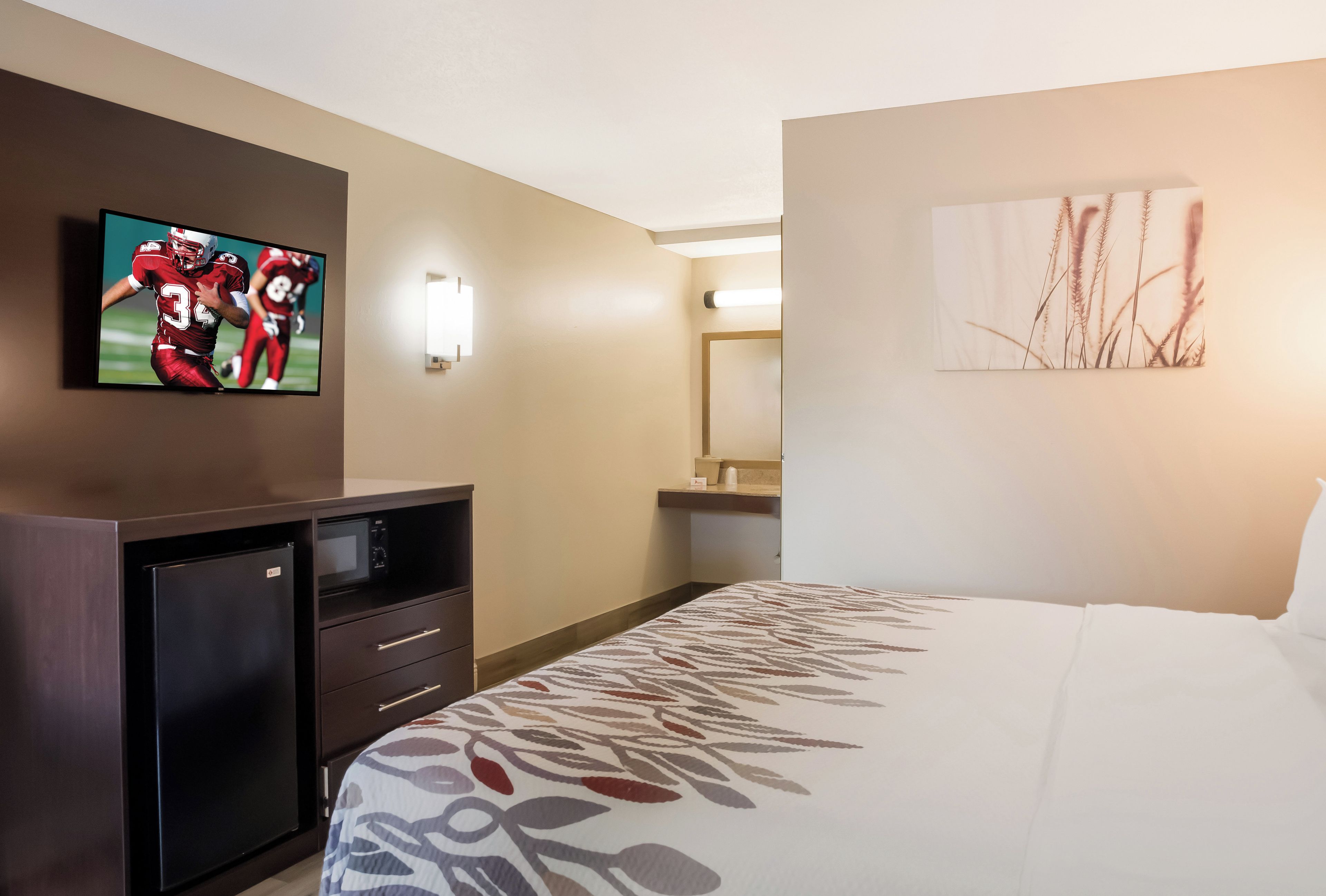 Habitación de hotel con una cama, televisor montado en la pared, un pequeño escritorio con microondas y un cuadro en la pared.