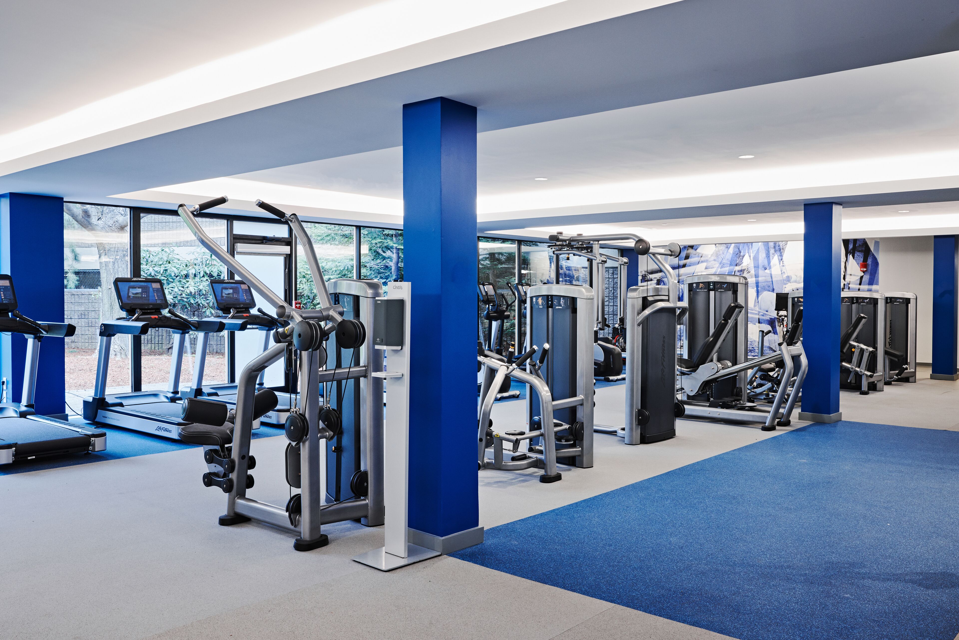 A modern gym with treadmills, weight machines, and a blue carpeted floor.