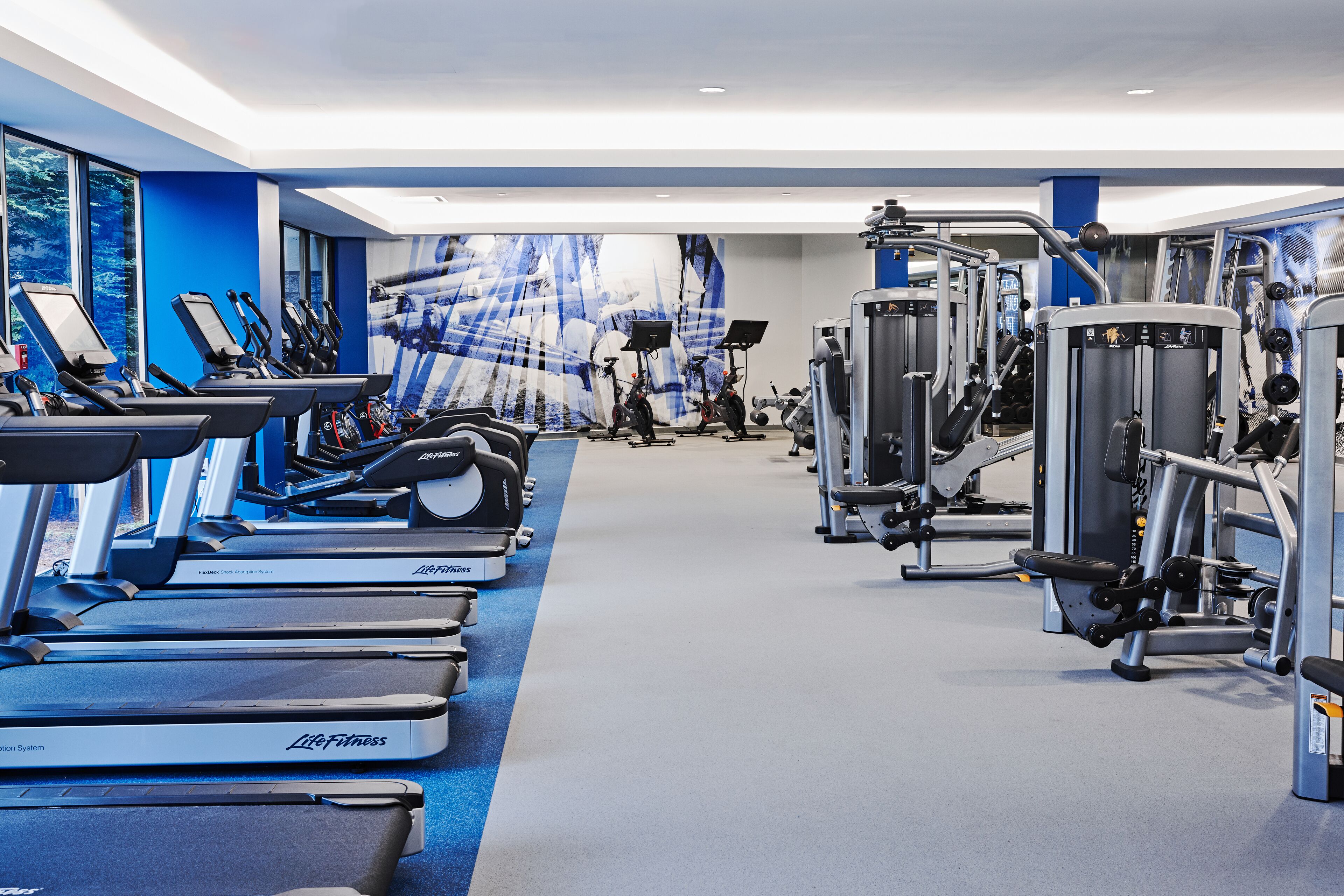 A gym with treadmills, elliptical machines, and weight machines.