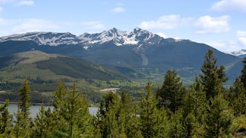 Paisaje montañoso con picos nevados, un lago y un bosque denso en primer plano.
